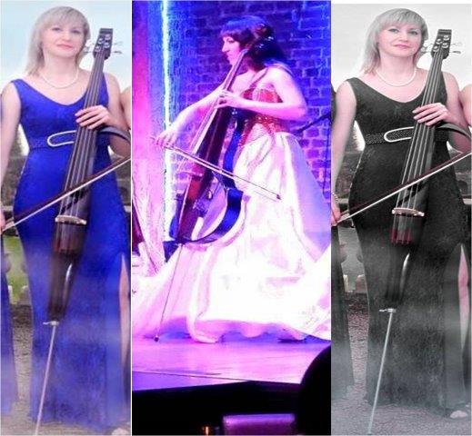 cello artists west-delhi
