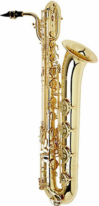 good saxophone on rent west-delhi