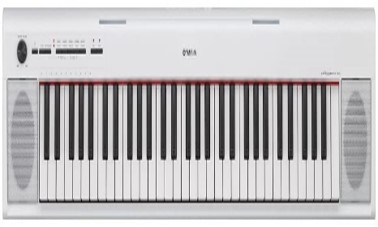 best piano rental service west-delhi