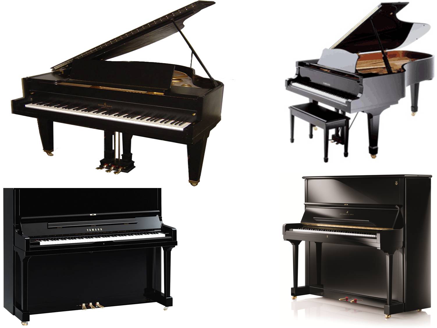 Grand Piano on rent in West Delhi